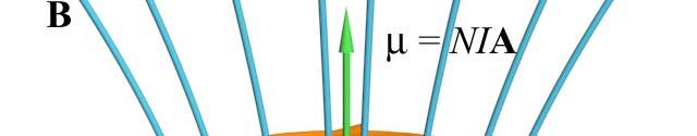 Concept Question: Dipole in Field