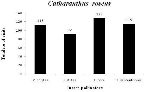 1734 Binoy C.F., Mary Sruthy Wilson, Kiran V. Ollukkaran and Bini C.B. Fig. 1. Insect pollinators and their foraging intensity in C. roseus Pentas lanceolata A total of 8 species were recorded in P.