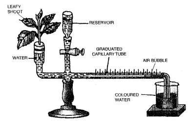 Question.17. The diagram shown below is an apparatus used to study a particular phenomenon in plants : (i) Name the apparatus. (ii) What is used for?