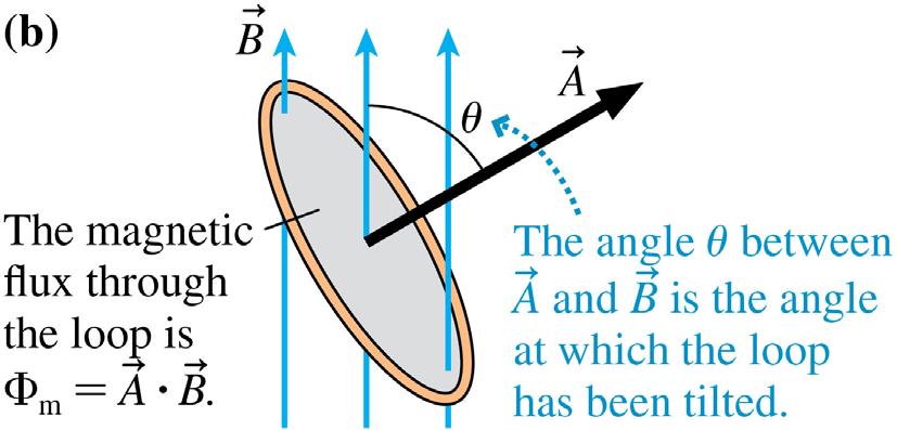 Magnetic Flux The magnetic flux measures the amount of magnetic field passing through a loop of area A if the loop