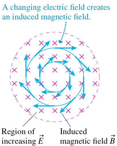 The Induced Magnetic Field As we know, changing the magnetic field induces a circular electric field.
