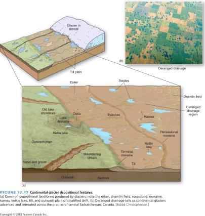 Continental Glaciation Two general types of streamlined features: Roche Moutonnee gentle intercepting