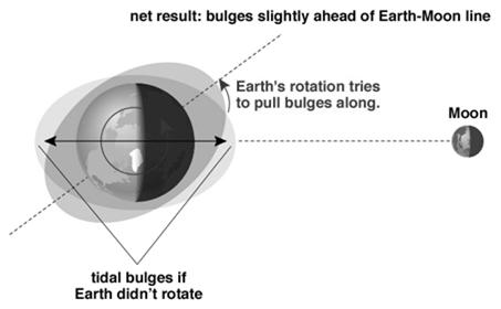 The Moon s gravity pulls back on the bulge, slowing Earth s rotation As a result, the length of a day increases ~2 ms/century (1 s/50,000 y) What about the effect of the Moon on Earth?