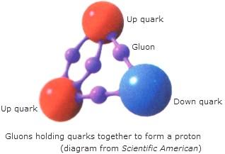 quarks, including electrons and neutrinos Neutrinos Gluons Source: http://www.gizmodo.com.au/2007/09/12/ Source: http://www.ipod.org.