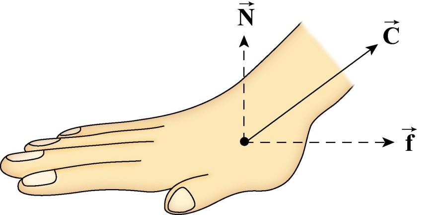 Force Laws: Contact Forces Between Surfaces The contact force on the hand between hand and surface is denoted by total F surface,hand Normal Force: Component of the contact force on hand