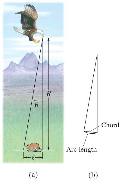 10-1 Angular Quantities Example 10-1: Birds of prey in radians.
