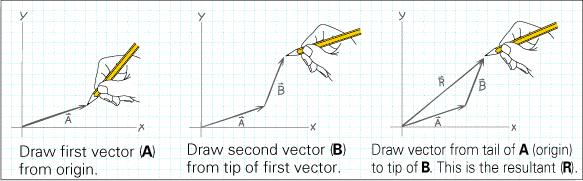 Adding Vectors Graphically Vectors are added head to tail.