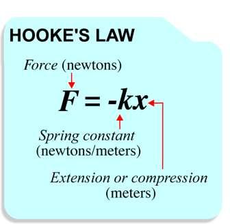 Hooke s Law Hooke s law states that the