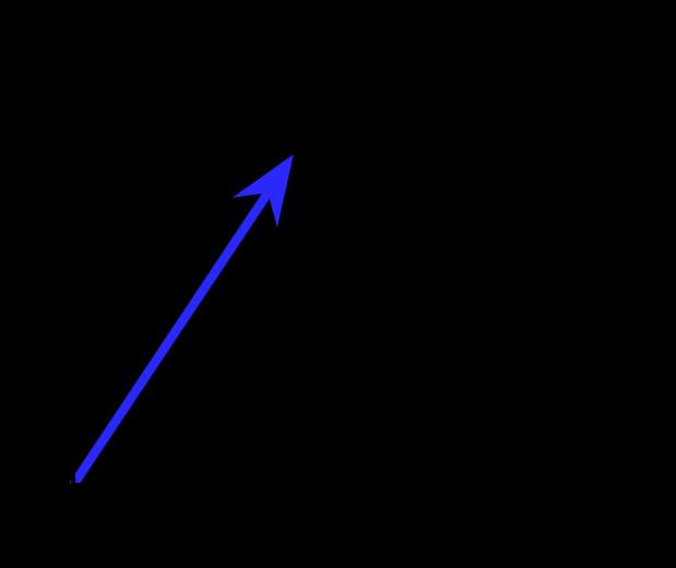 Vectors Graphically vectors are represented by arrows.
