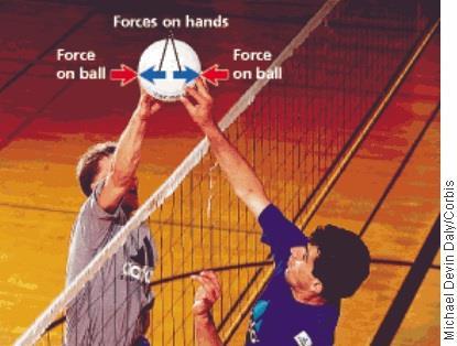 6. Explain why the equal action and reaction forces cancel each other when two people hit volleyball in opposite directions. Forces can be combined together only if they are acting on the same object.
