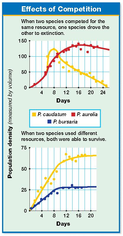 Connell s experiments show that one species occupies only a small portion of its fundamental niche. The rest is unavailable because of competition with a second species of barnacle.