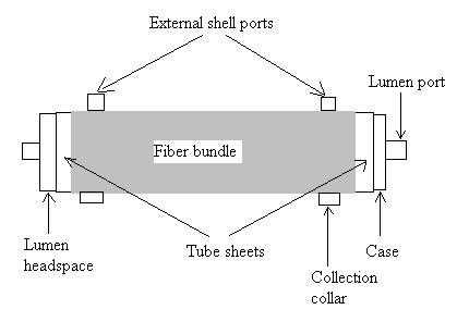 Figure 3.2: Typical hollow fiber membrane Costello et al.