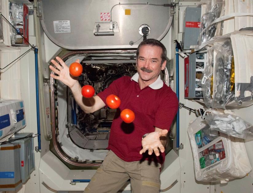 SOLUTION: The astronaut, the spacecraft, and the tomatoes, are all