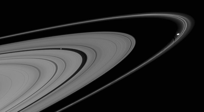 Elaborate structure in rings controlled by the gravity of shepherd moons Pan Prometheus 2007
