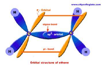 sp 2 -hybridization In ethene, the one 2s orbital hybridizes with two 2p orbitals.