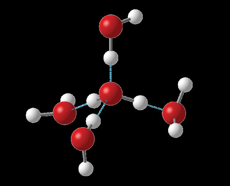 Each H 2 O molecule can be bonded