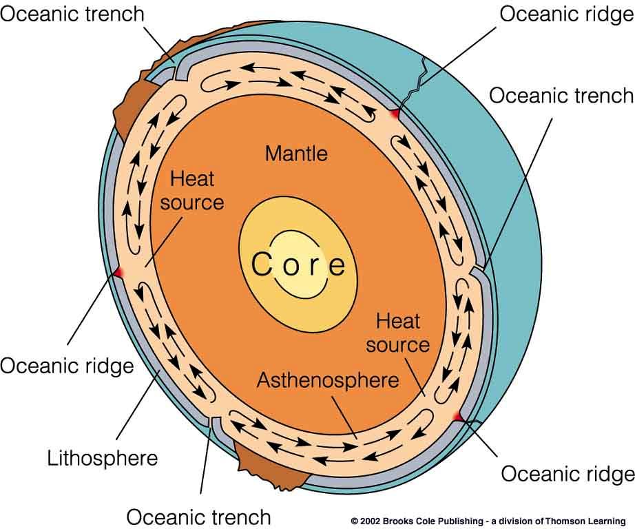 Driving Mechanism of Plate Tectonics - Convection Cells: circular movement of the asthenosphere and possible the entire mantle - the lithosphere (plates) ride on