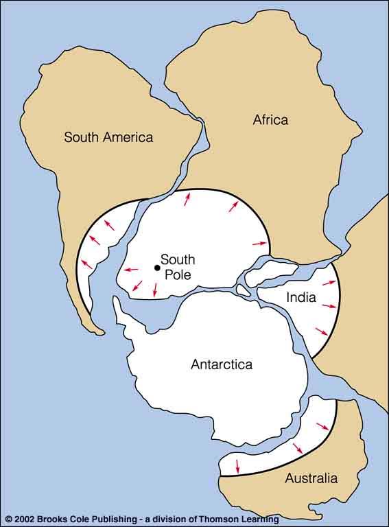 - This reconstruction is consistent with fossil and climatologic evidence from Laurasia