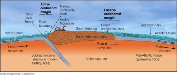 - Active continental margin: subduction of