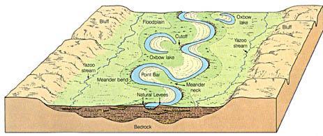 MEANDERS are the curving, windy, path water takes downstream.