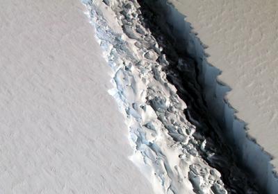 The portion of the ice shelf currently holding the iceberg in place is only Map of the Larsen C Ice Shelf. 12 miles (20km) in length.