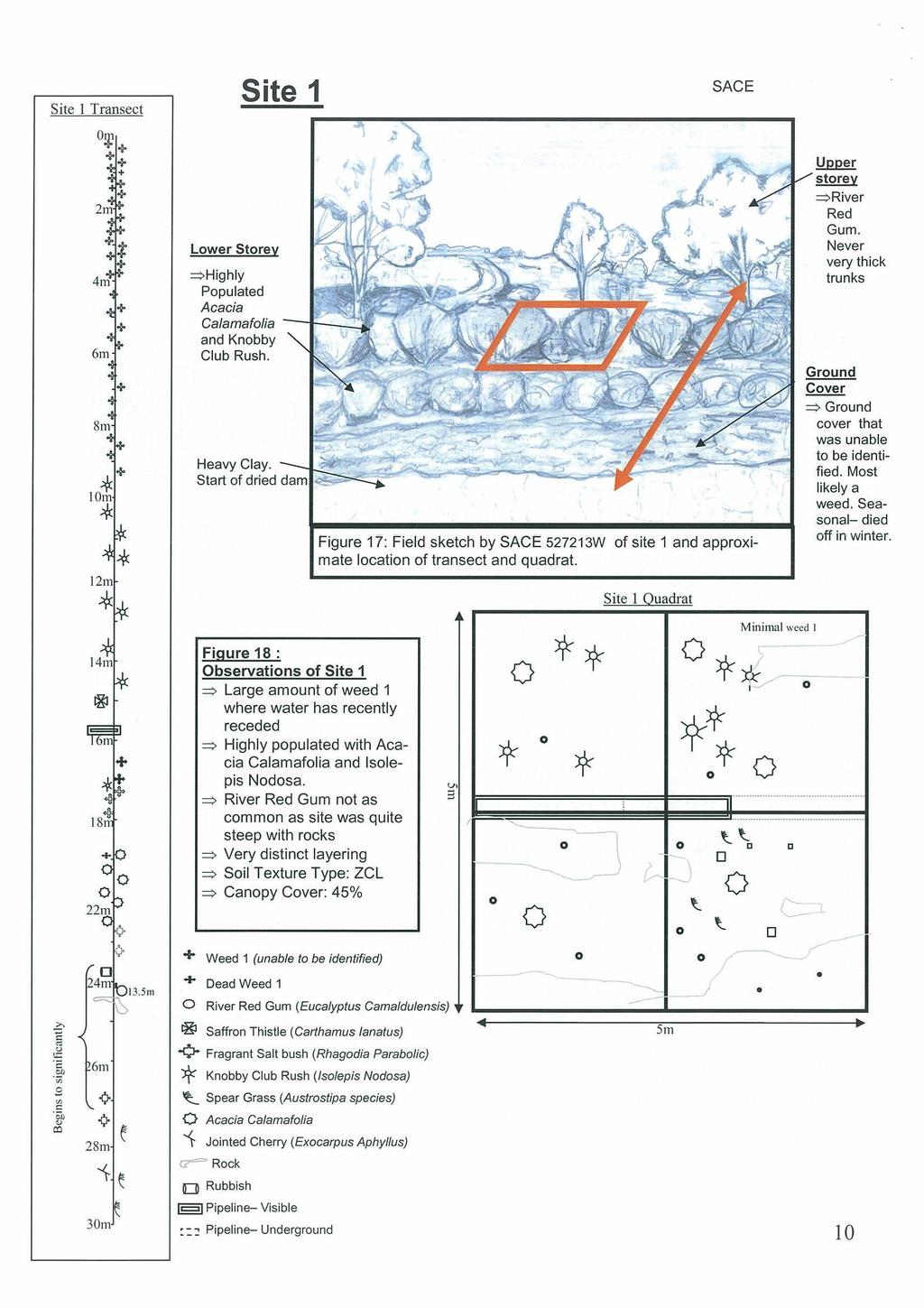 Figure 17: Field sketch by student of site 1 and