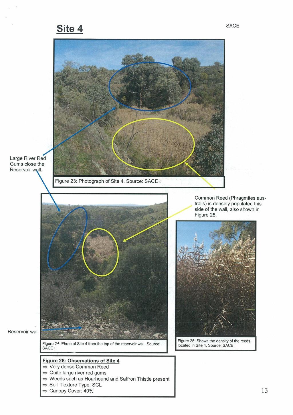 Figure 23: Photograph of Site 4. Source: Student.