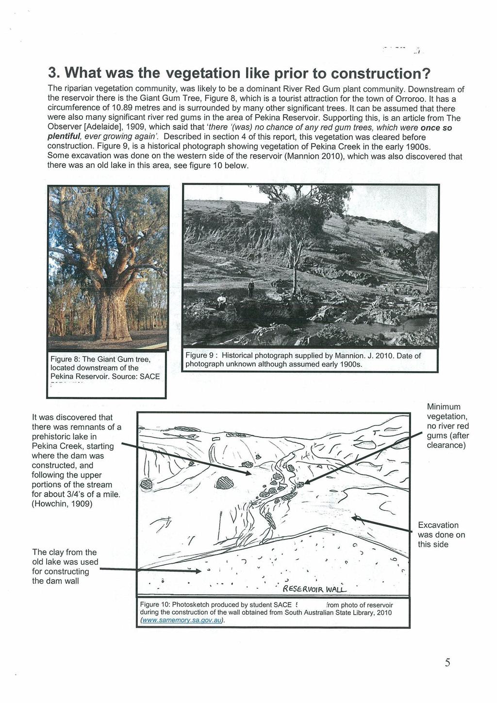 Image removed due to copyright. Figure 8: The Giant Gum tree, located downstream of the Pekina Reservoir.
