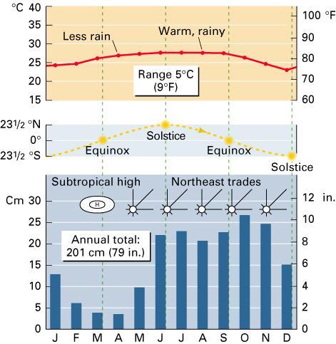 Low Latitude Climates: trade wind