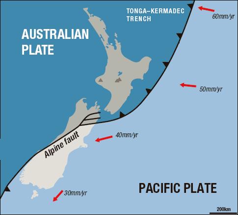 Regional Tectonics The South Island of New Zealand is cut by the Alpine fault that forms a transform boundary between the Pacific and Australian plates.