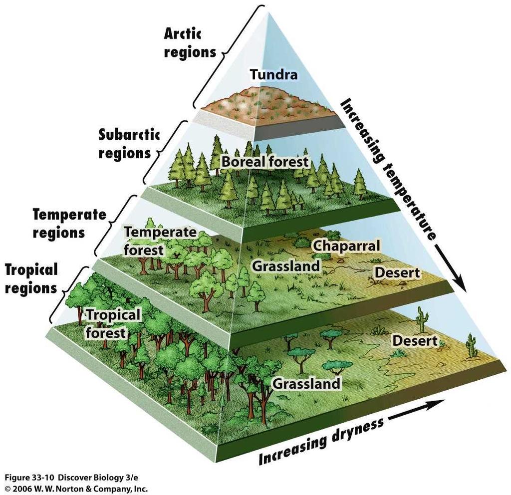 portion ant: nonliving portion Sentence: A biome is characterized by its climate and