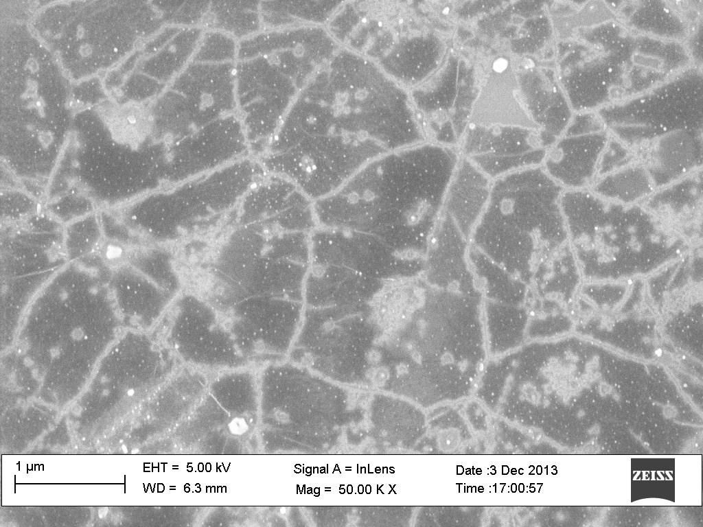 SEM characterization Figure 6-8: A typical SEM image of graphene on SiO 2 /Si after oxidation treatment at 700 C (O 2 partial pressure = 100 mtorr).