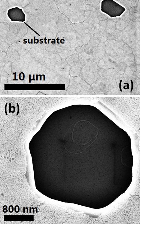 Figure 2-18: SEM images of copper film after CVD growth. Holes are formed in the copper film as a result of evaporation during the high temperature process. 2.4.