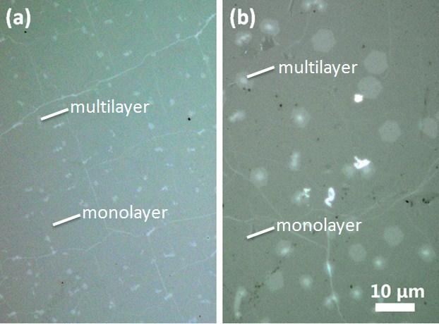 Figure 4-8: Optical images of (a) as grown CVD grown graphene and (b) CVD grown graphene bought from graphene supermarket transferred onto quartz substrates. Scale bar applies to both images.