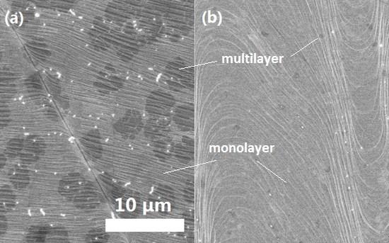 The graphene grown without annealing step has multiple multi-layer areas, covering ~51% of the whole surface, while the graphene grown with annealing step has only few small multi-layer areas,