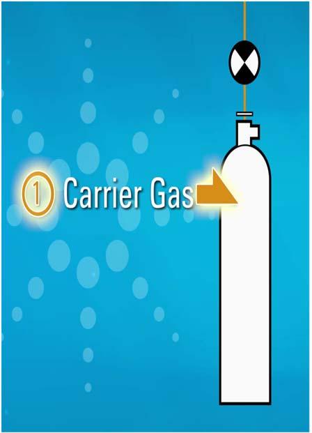 I. Carrier Gas System Type of carrier gas effect