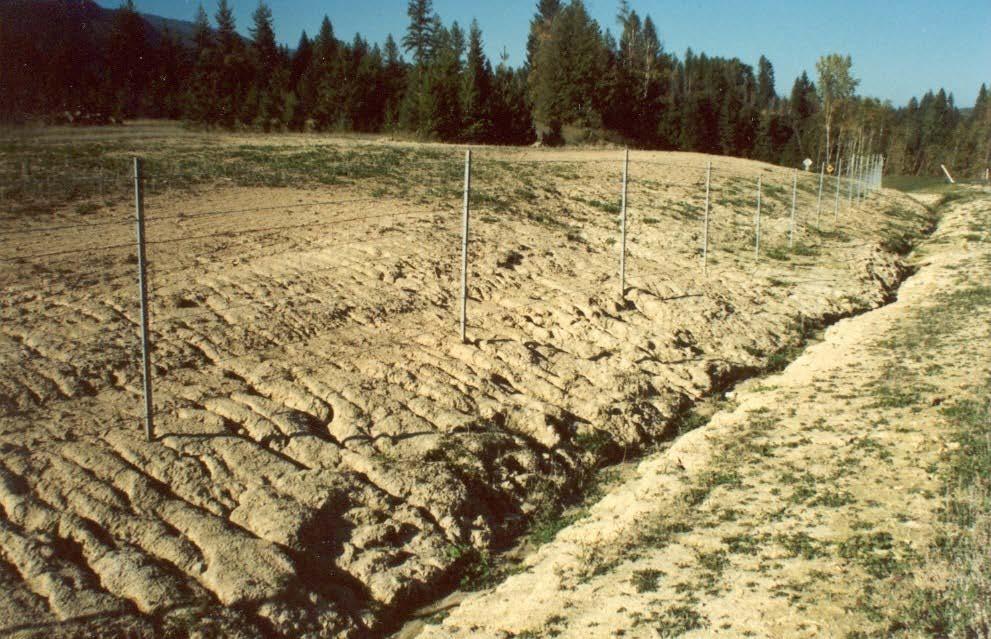 Erosion and Sedimentation Types of