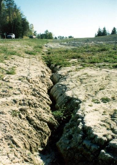 Erosion and Sedimentation Types of Erosion Gully Erosion Gullies are formed when runoff cuts