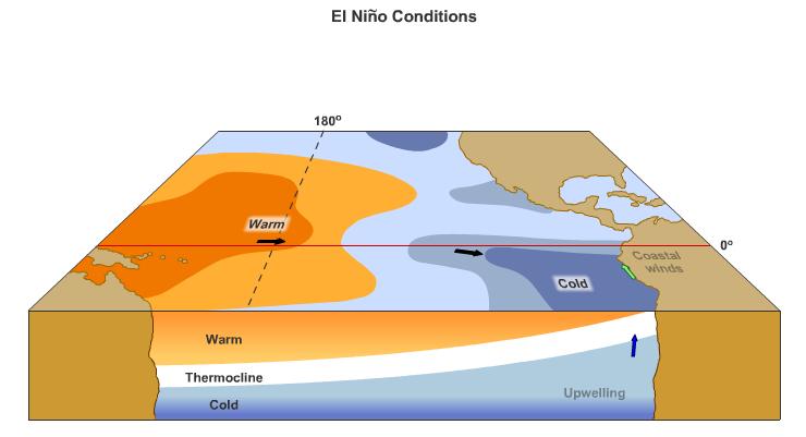 El Nino Trade winds that move warm water to western Pacific