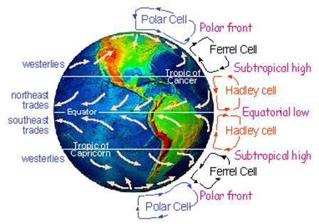 Winds of the World Coriolis Effect also moves air masses Clockwise in the N Hemisphere (and CCW