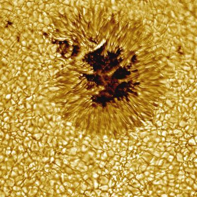 Sunspot structure Recall granules Recall black body radiation Sunspot darker because it is cooler Umbra darkest part Size of 1-10 earths Penumbra is