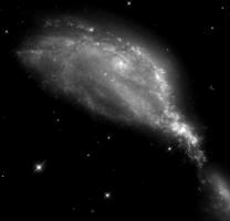 Hickson CG 87 NGC 674 Ellipticals - most often