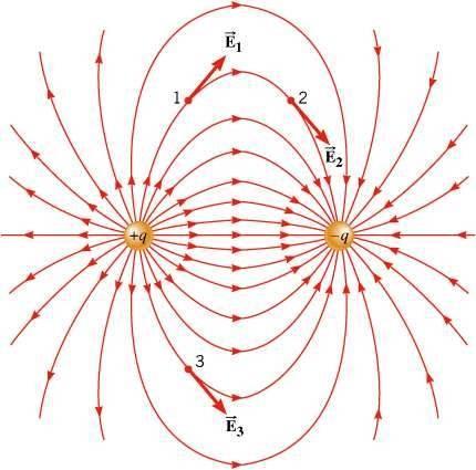 21.1 Magnetic Fields The magnetic field lines and pattern of iron filings in the vicinity of a bar magnet and the magnetic field lines in the gap of a horseshoe