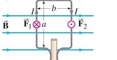 27-5 Torque on a Current Loop; Magnetic Dipole Moment The