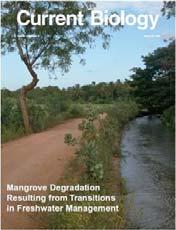Plant-soil interactions Sites : Brazil, Belgium, Mauritania, Gambia,