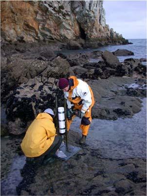 Biology of aquatic organisms Symbiosis studies Marine organisms as pollution bioindicators Aquaculture