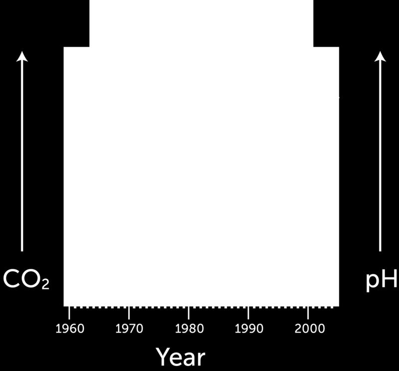 The amount of carbon dioxide in the atmosphere has increased over recent decades (see Figure 1.3). As a result, the acidity of ocean water is also increasing.