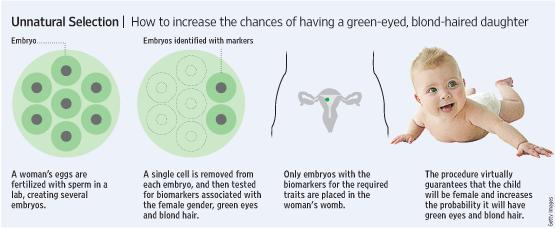 You should make informed judgements about the economic, social and ethical issues concerning embryo