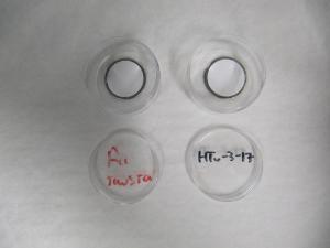 Sample in plastic test tube before reducing uranium Video 1. Reducing Fe and U using TiCl3 Make the precipitate by adding 1.5 ml of 40% HF acid. Uranium will co-precipitate as fluorine.