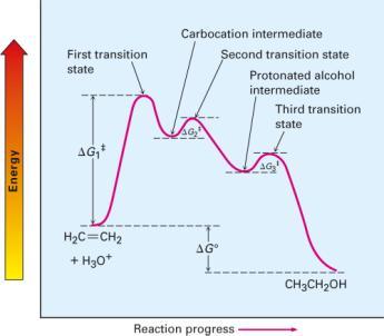 10 Describing a Reaction: Intermediates Reaction Intermediate A species that is formed during the course of a multi-step reaction but is not final product More stable than transition states May or